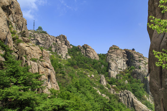 青島嶗山春光