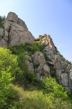 青島嶗山春光