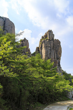 青島嶗山春光