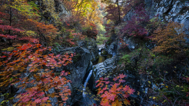 本溪老邊溝紅葉