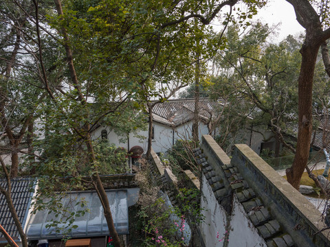 從如廬望海鹽館后面