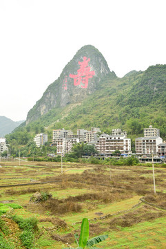 巴馬長(zhǎng)壽鄉(xiāng)