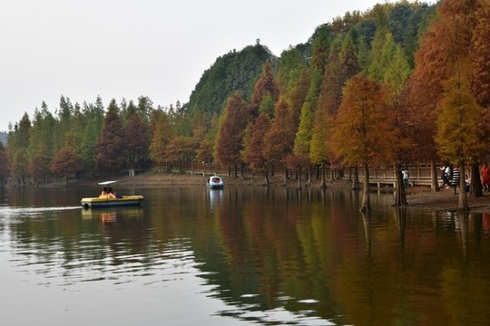水上公園