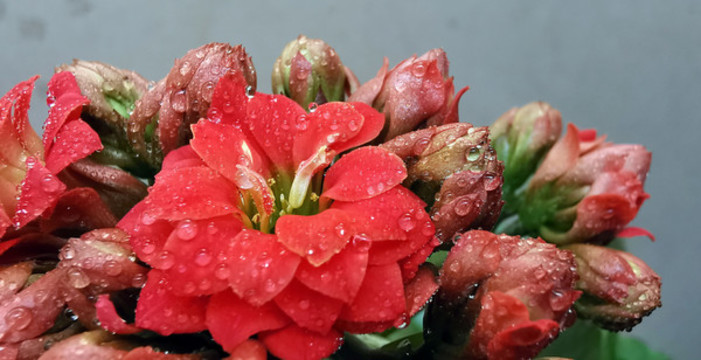 小花