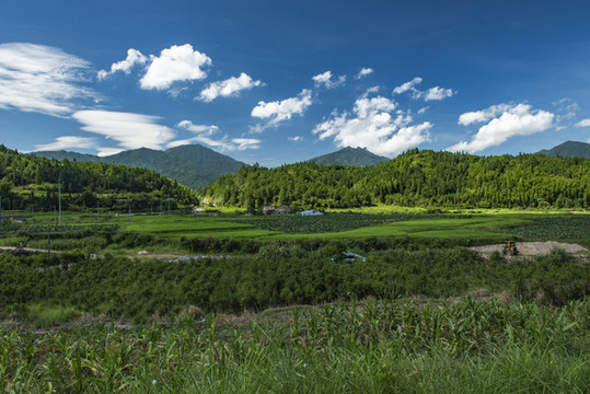 田園風(fēng)光
