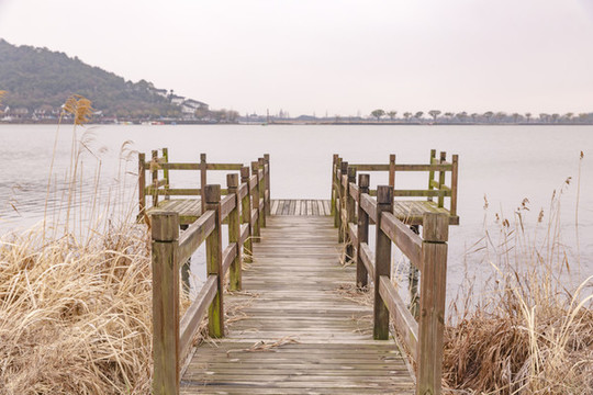 蘆葦棧橋