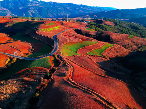 云南東川紅土地