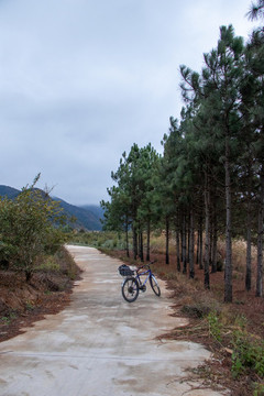 山地道路