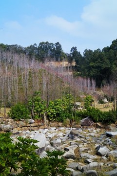 福山郊野公園