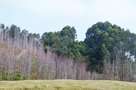 福州福山郊野公園