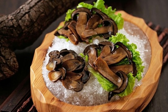 野生黑牛肝菌