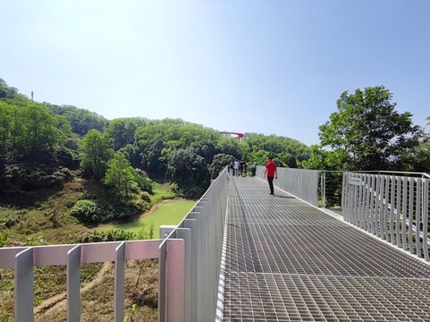 探橋