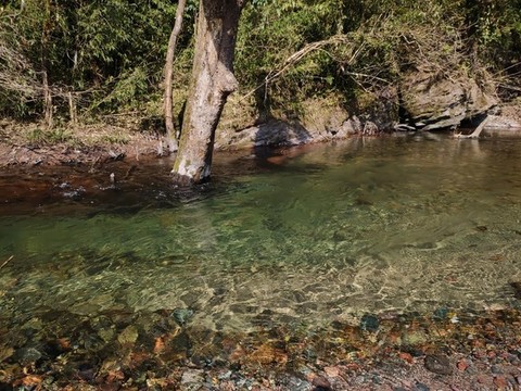 清澈的小溪水