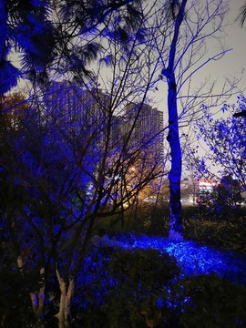 夜景燈光景觀綠化效果