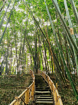 成都浣花溪公園