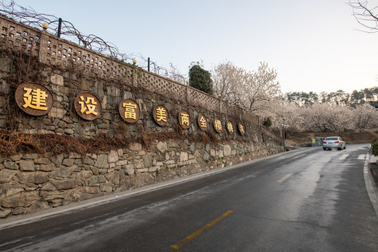 新農(nóng)村