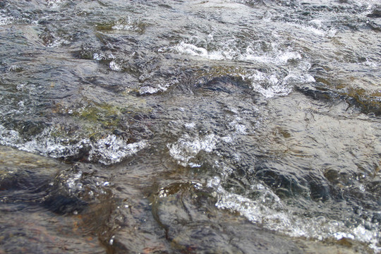 溪流潺潺水