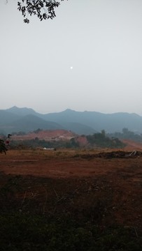 黃土