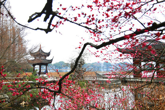 中式園林建筑