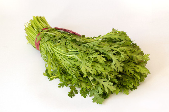 蔬菜茼蒿