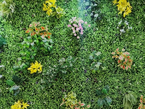 綠植墻體素材