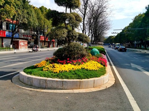 道路景觀綠化