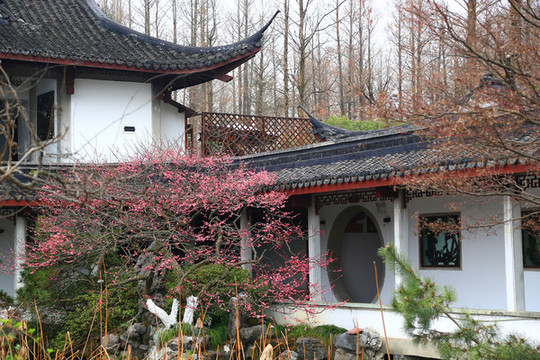 中式園林建筑