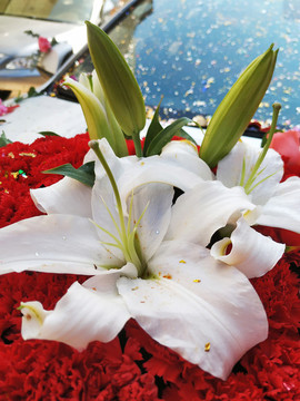 百合花