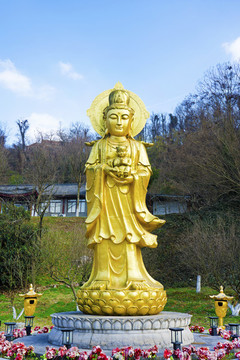 送子觀音