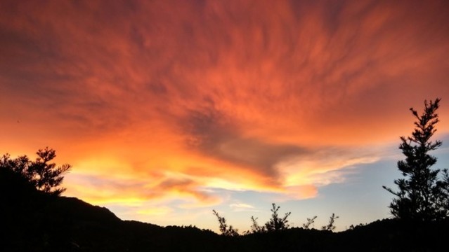 夕陽