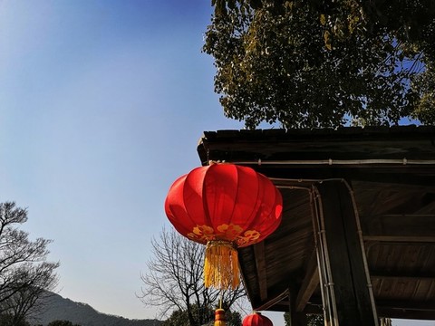紅燈籠