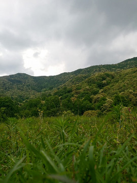 丘陵天空