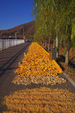 舞彩淺山濱水國(guó)家登山步道