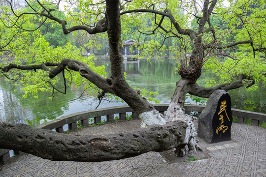 重慶大學民主湖