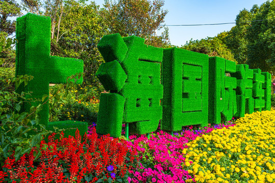 上海嘉定安亭城鎮(zhèn)風(fēng)光