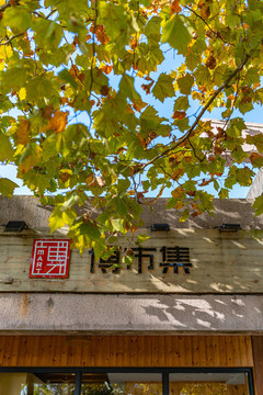 浙江省博物館建筑