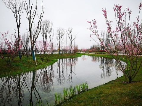 生態(tài)公園