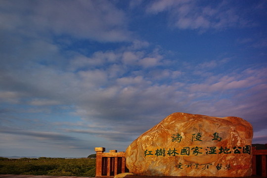 海陵島紅樹林