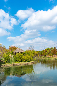 上海嘉北郊野公園的秋天