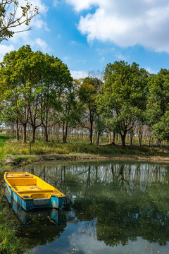 上海嘉北郊野公園