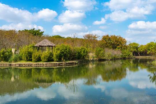 上海嘉北郊野公園