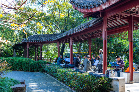 上海嘉定小河口銀杏園