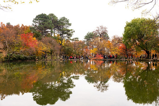 蘇州天平山風(fēng)景區(qū)秋色