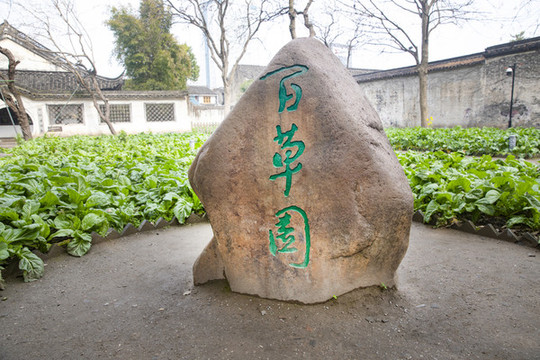 魯迅百草園