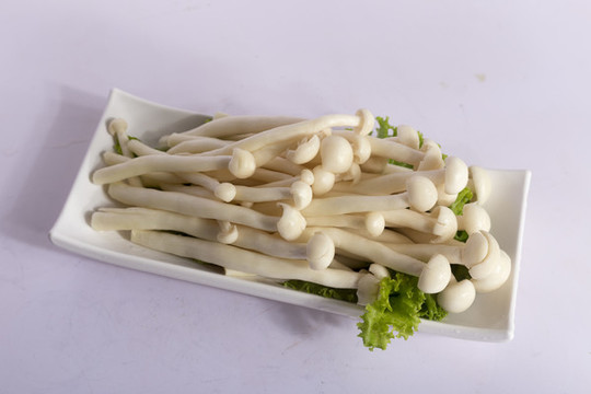 蘑菇