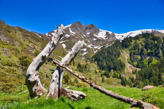 群山
