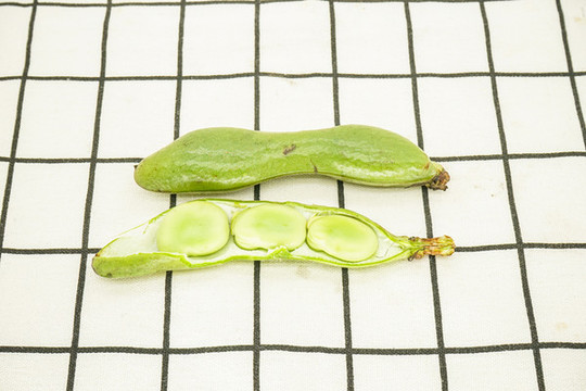 新鮮蠶豆