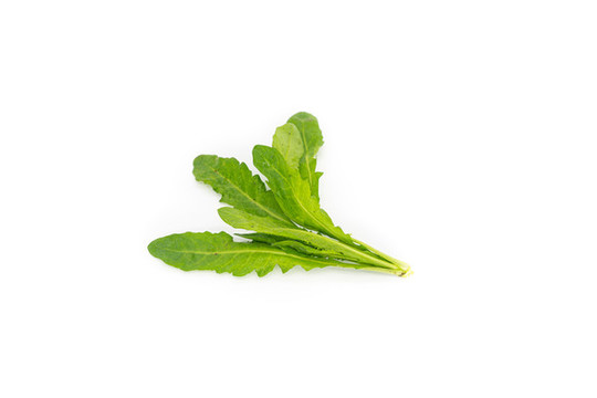 薺菜
