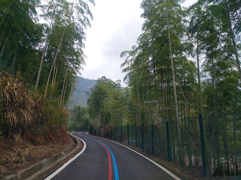 綠道建設(shè)