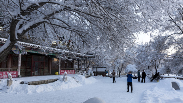公園雪景